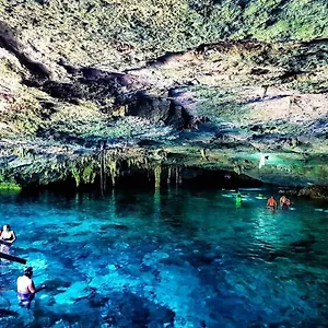 Campo de lujo En La Selva De